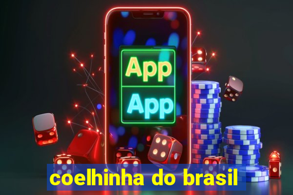 coelhinha do brasil